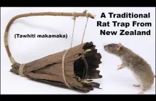 Nowozelandzka pułapka na szczury