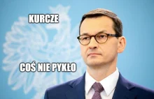 Rząd przyznaje, że w Polsce wzrósł poziom skrajnego ubóstwa