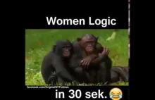 Women Logic in 30 sec