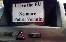 Polacy w Wielkiej Brytanii boją się zgłaszać ataki na tle narodowościowym