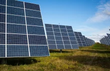 A US town rejected solar panels because 'they'd suck up all the energy...