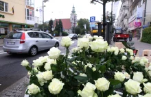 Pogrzeb Anny Przybylskiej. Tysiące białych róż ozdobiło ulicę w Gdyni