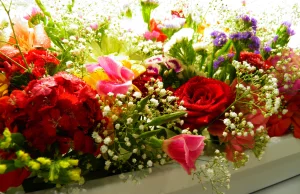 Kwiaty dla Anny! :-)