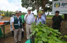Prezydent Kuczynski: Peru będzie sadzić 2 mln hektarów drzew by odnowić Amazonię