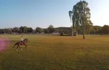 Koń ściga się z dronem.