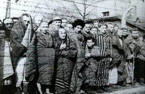 Nikt nie wyzwalał Auschwitz i Birkenau! (OŚWIADCZENIE śp. ppłk Kemmera)