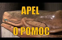 Apel o pomoc - mieszkanie opozycjonisty antykomunistycznego doszczętnie...