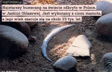 Bumerang z Polski - najstarszy na świecie