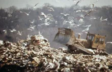 100 ton odpadów z Salwadoru zmierza do Dąbrowy Górniczej