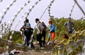 367 nielegalnych przekroczeń granicy. Węgrzy aresztowali wszystkich - i dobrze!