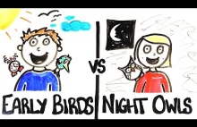 Early Birds vs Night Owls