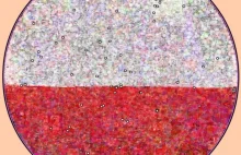 Polska flaga na Drawball'u na Święto Niepodległości 2011!