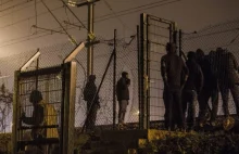 Wielka akcja w Bułgarii. Zatrzymano 25 przemytników ludzi i 225 migrantów!