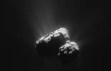Mamy prawie pewność, że na kometach występują mikroorganizmy