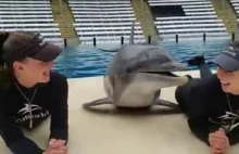 Dziewczyny bawią się z delfinem