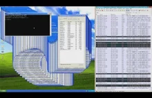 Uruchomienie 165 wirusów na Windows XP