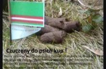 Swietny pomysł na integrację Muzułmanów