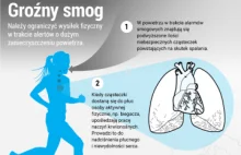 Smog – na co najbardziej szkodzi