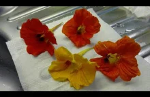 Kwiat i liście nasturcji w kuchni kwiat jadalny żywność funkcjonalna