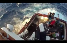 270 kilowy Marlin Błękitny wskakuje na łódź.