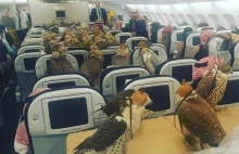 Saudyjski książę kupił bilety lotnicze dla swoich 80 sokołów