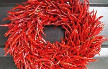 7 ciekawych informacji o papryczkach chili i ostrym jedzeniu