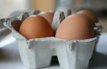 Ponad 4 miliony jaj wycofane z polskich sklepów. Znaleziono w nich antybiotyk.