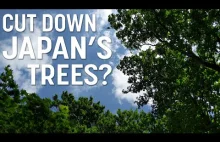 Dlaczego Japonia nie wycina swoich lasów