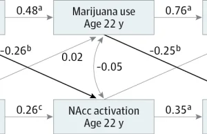 Marihuana nie czyni ludzi szczęśliwszymi