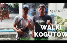 Walki KOGUTÓW w Tajlandii - 15000zł wygrana !...