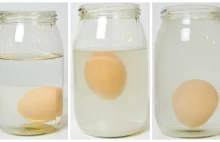 Eksperymenty z jajem, czyli 7 pomysłów na doświadczenia z dziećmi! | Mama...
