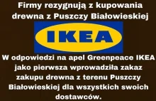 IKEA staje w obronie Puszczy Białowieskiej? Najnowsza odsłona sporu o wycinkę