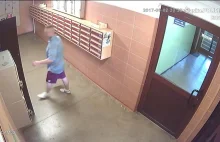 Atak pedofila na dziecko w windzie. Poszukiwany już w rękach policji