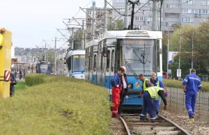 Kolejne wykolejenie. Internauci kpią: "Hat trick na Legnickiej"