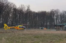 Tragedia pod Zieloną Górą. Rolnik dojechał na posesję - jego pasażer już nie żył