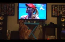 Pies - miłośnik tenisa