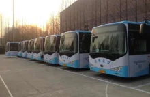 BYD wyprodukował łącznie już ponad 1300 autobusów elektrycznych