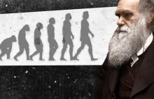 Świecki dogmat przełamany. Naukowcy krytykują „teorię Darwina”