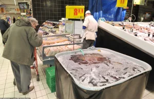 Żywe karpie znikają z kolejnych sieci. Ale Kaufland i Carrefour się nie poddają