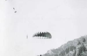 W 1948 roku z nieba w Idaho spadały bobry na spadochronach