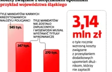 Setki tysięcy wezwań do osób niepłacących mandatów. Urzędy nie mają na to...