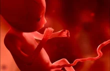 Władze Kalifornii twierdzą, że płód nie jest człowiekiem nawet, jeśli...