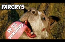 Far Cry 5 w dużym skrócie