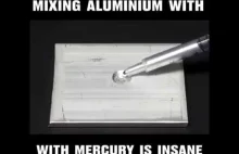 Aluminium + rtęć