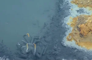 Odkryto podmorskie jezioro, w którym nikt nie chciałby się wykąpać