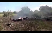 Zestrzelony ukraiński odrzutowiec spadł w przydomowe grzędy.