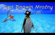 Pirat Pingwin Mroźny