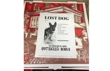 Pizzeria pomaga w odnalezieniu zaginionych psów – umieszcza zdjęcia na kartonach