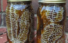 Pszczoły robią miód od razu w słoiku.