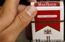 Posiadanie papierosów przestępstwem?